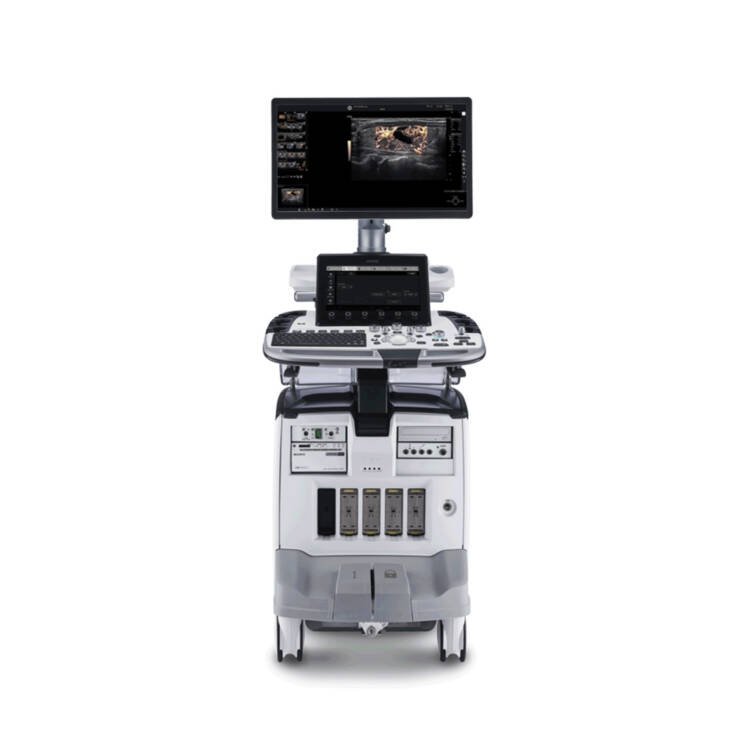 GE Logiq E10