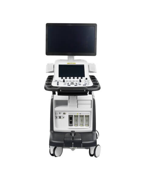 GE Vivid E95