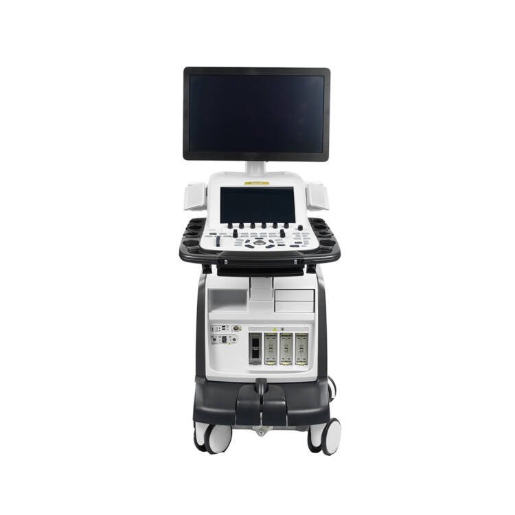 GE Vivid E95