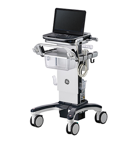 GE Vivid IQ 4d