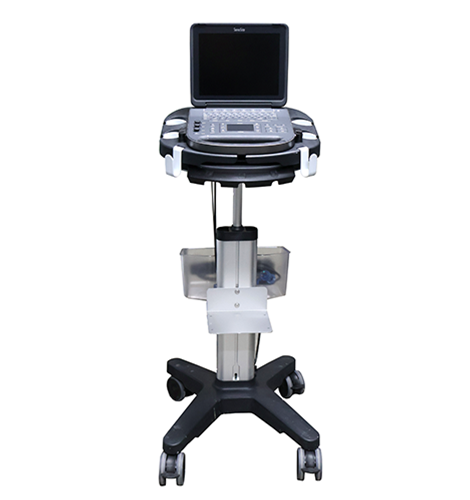SonoSite Edge II